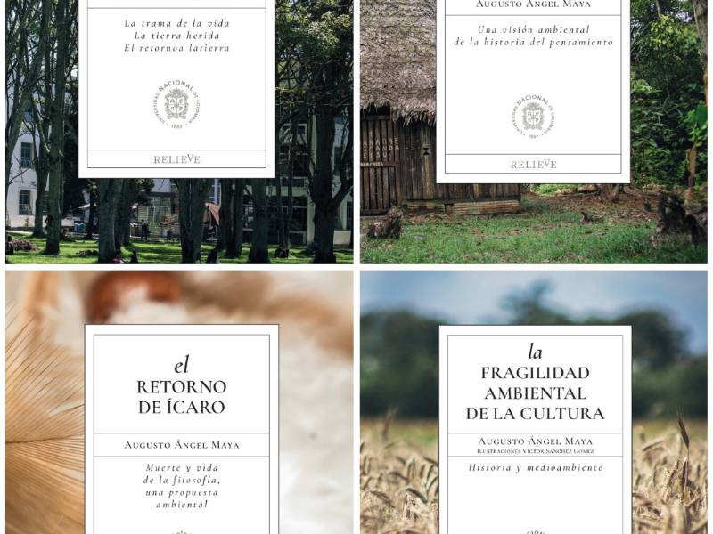 Imagen portada del artículo